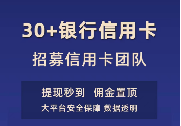 网申系统30+银行信用卡招募信用卡团队，高佣金，结算快